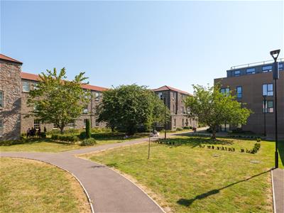 Picture 21